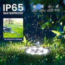 SOLPEX 8 Pack Solar Ground Lights Outdoor Waterproof, Solar Powered Pathway Lights, Landscape Lighting for Garden Walkway Driveway Backyard Decor (Cool White) by GreenHaven Gardens
