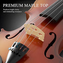 1/8 Violin for Beginner, Kids Violin for Students, Complete Kids Violins Set with Case, Bow, Rosin, Ideal for Kids Violins Beginner Ages 4-5, Natural by TinyTreasures Baby Boutique