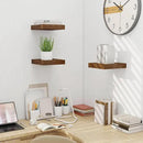 Fun Memories Floating Shelves for Wall - 10" x 10" Wood Shelf with Invisible Bracket - Deep Floating Shelves - 10 Inch Shelf Wall-Mounted for Living Room & Bathroom - Rustic Brown - Set of 2 by CozyNest Decor