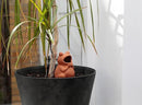Terracotta Plant Self Watering Spikes - Set of 3 Terracotta Self Watering Bulbs, Self Watering Stakes, Self Watering Globes for Pot Plants (Frogs Plain, Large) by GreenHaven Gardens