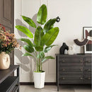 Fake Bird of Paradise Silk Artificial Plant Faux Banana Leaf Tree Lifelike Bird of Paradise for Home Decor Indoor Floor Plant with 10 Trunks (1, White Tall Planter, 6 FT) by CozyNest Decor