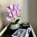 SJC Orchids Artificial Flowers with Gray Vase Purple Faux Orchid Phalaenopsis Arrangements for Kitchen Table Centerpiece Home Decoration Indoor(3.54" D x 7.87" W x 20" H) by CozyNest Decor