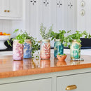 Modern Sprout New & Improved Mason Jar Grow Set 6pk, Indoor Herb Garden, Seed Starter Set, Organic Seeds, Hydroponic Growing (Basil + Mint + Parsley + Cilantro + Rosemary+ Lavender) by GreenHaven Gardens