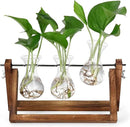 YIBOT Propagation Stations,Plant Terrarium with Retro Wooden Stand, Unique Gardening Birthday Gifts for Women Plant Lovers, Hydroponics Plants Home Office Garden Decor - 3 Bulb Glass Vases by GreenHaven Gardens