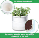 Phoenix Vine 4 Inch Self Watering Planter Pot, Design White Terracotta Pots for Plants, Indoor Cylinder Terra Cotta Pots with Glass Vase, Set of 1, 51-B-E-1 by GreenHaven Gardens