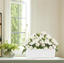 GardenBasix Elongated Self Watering Planter Pots Window Box 5.5 x 16 inch Indoor Home Garden Modern Decorative Planter Pot for All House Plants Flowers Herbs (White,1-Pack) by GreenHaven Gardens