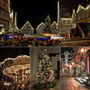 2PC C6 Led Christmas String Lights, 60 Led 20FT Battery Operated Strawberry Lights, Waterproof 8 Lighting Modes Fairy Lights for Indoor Outdoor Patio Garden Party X-mas Decoration(Warm White) by GreenHaven Gardens