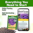 HOME GROWN 𝗨𝗦𝗔 𝗣𝗥𝗘𝗠𝗜𝗨𝗠 Aubrieta Rock Cress Purple, Flowering Ground Cover Seed Pack, Perennial Cress Seeds for Planting Outdoor Lawn Gardens 300 𝗡𝗢𝗡-𝗚𝗠𝗢 Aubrieta deltoidea Flower Seeds by GreenHaven Gardens