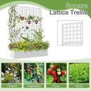 Metal Raised Garden Bed, Trellis Planters Bed with Drainage Holes for Climbing Plants, Vegetables Outdoor Privacy Screen with Planter Box 73"x47"x16", White by GreenHaven Gardens
