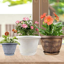 10 Inch Flower Pots Planters for Indoor Outdoor Plants, 3 Pack Plastic Large Plant Pots with Drainage Hole & Tray, Modern Decorative Garden Pot with Saucer, Plant Container for House by GreenHaven Gardens