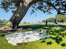 4’9” x 6’3” White Lightweight Water-Resistant Canvas Mat – Picnic, Outdoor, Beach, Park, Camping, Toy Mat by TinyTreasures Baby Boutique