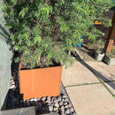 Corten Steel Planter Metal Square Planter Tall Cube Rustic Steel Planters 27.6 Inch Durable Antique Detached for Outdoor Commercial Residential Garden Patio Deck and Backyard by GreenHaven Gardens