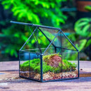 NCYP Mini Glass Geometric Terrarium with Lid - 4.25" x 4.25" x 4.92" Small House Shape Close Planter Pot for Succulents Plant - Handmade, Home Garden Office Tabletop Decor, Black (Terrarium Only) by GreenHaven Gardens