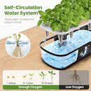 Indoor Garden Hydroponics Growing System 12 Pods, Indoor Herb Garden with LED Grow Light, Adjustable Height Up to 10.8inch, Hydroponics for Family by GreenHaven Gardens