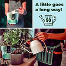 Big Green Leaves | Superfood Houseplant Fertilizer, Indoor Plants - Water Soluble Plant Food + Organic Kelp | 4X More Concentrated | 12-4-8 NPK (1LB) by GreenHaven Gardens