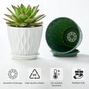 FaithLand 6-Pack 6-Inch Plastic Plant Pots with Saucers | Thickened PP Material, Modern Wave Texture, Enhanced Drainage for Indoor/Outdoor Garden Plants | Tricolor Value Set by GreenHaven Gardens