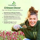 Outsidepride Crimson Clover Seeds - 5 lbs. Annual, Nitrocoated, & Inoculated Ground Cover Seeds, Ideal Clover Seed for Lawn, Cover Crop, Pasture, Hay, Green Manure & Wildlife Forage by GreenHaven Gardens