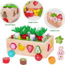 Toddlers Montessori Wooden Educational Toys for Baby Boys Girls Age 1 2 3 Year Old, Shape Sorting Toys 1st One First Birthday Girl Gifts for Kids 1-3, Wood Preschool Learning Fine Motor Skills Game by TinyTreasures Baby Boutique