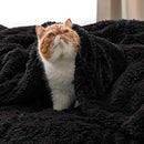 Bedsure GentleSoft Fluffy Black Blankets Queen Size for Bed, Thick Sherpa Faux Fur Fleece Fuzzy Plush Winter Warm Soft Full Queen Blankets, Bedroom Decor Black Gifts Cozy Gifts for Women Men, 90x90 by CozyNest Decor