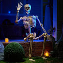 JOYIN 6.9 FT Halloween Skeleton Posable Plastic Full Body Realistic Human Bones with Movable Joints for Indoor Outdoor Halloween Props Spooky Scene Party Decorations（Yellow,No Screwdriver） by GreenHaven Gardens