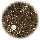 Fern + Perlite Soil Mix for Repotting and Planting Succulents and Cactuses - 2 Quart Bag by GreenHaven Gardens