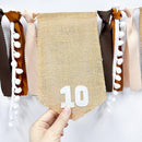 pinkblume 1st Birthday Burlap Photo Banner Garland Handmade Felt from Newborn to 12 Months with Gradient Brown Ribbon for Baby Boy Girl Monthly Milestones First Birthday Party Decoration Supplies by TinyTreasures Baby Boutique