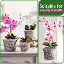 REMIAWY Orchid Pot - 6 Pack Clear Plastic Orchid Pots with Holes, Slotted Flower Planter for Indoor Outdoor Use, 3 Each of 4.1 and 4.8 Inch by GreenHaven Gardens