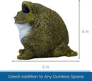 Stocky Frog Decorative Garden Statue and Key Hider - Hides a Secret Extra Hidden Key Outside in Garden, Yard or Porch by GreenHaven Gardens