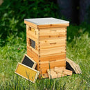 CREWORKS 10 Frame Bee Hive, 3 Layers Beeswax Coated Beehive Starter Kit with Frames & Foundations, Langstroth Bees Hives Box with Transparent Acrylic (Window Medium Box & 2 Deep Boxes) by GreenHaven Gardens