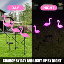 Flamingo Solar Lights,Outdoor Pink Flamingo Stake Light,Solar Powered Garden Lights,Yard Art Decor,Outdoor Garden Decorations,Outside Stick Lights,Outdoor Lights Waterproof (3pcs) by GreenHaven Gardens