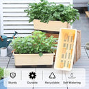 Window Box Planter 8 Pcs, 17 Inches Rectangle Flower Pots with Drainage Holes and Trays, Vegetable Planters for Windowsill Patio Garden Balcony Home Porch Yard Indoor Outdoor (Barley Yellow) by GreenHaven Gardens