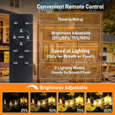 Bosceos Solar Outdoor String Lights Waterproof, 60FT Solar Powered String Lights for Outside with Shatterproof Bulbs, Dimmable ST38 LED Lights String, Patio Hanging Lights for Backyard Garden Party by GreenHaven Gardens