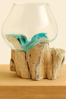 OMA Molten Glass on Driftwood – Hand Blown Vase, Terrarium, or Planter for Coastal & Boho Home Décor Centerpieces (6" - 7" High) by CozyNest Decor