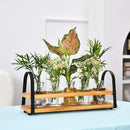 Plant Propagation Stations with Wood Stand, Desktop Plant Terrarium for Propagating Hydroponic, Flower Vase for Home Kitchen Office Decor, Plant Lover Gifts by GreenHaven Gardens
