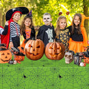2 Pcs Halloween Tablecloth - Plastic Halloweens Spider Webs Table Cloth, Green Disposable Rectangle Spiderweb Table Cover for Halloween Party Decorations Supplies Favors Tables Decor, 108 x 54 Inch by CozyNest Decor