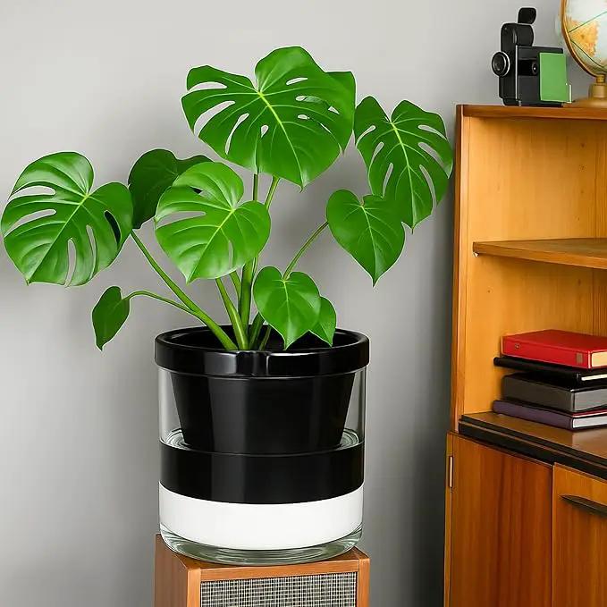 D'vine Dev 10 Inch Design Self Watering Planter for Indoor Plants, Black Terracotta Pot with Cylinder Glass Cup, 37-X-D-3, photo 5 of 7