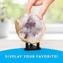 NATIONAL GEOGRAPHIC Break Open 5 Jumbo Geodes - Earth Science Kit with 5 Premium, Extra-Large Geodes with Crystals, Goggles & Display Stands, Science Gifts, Fun Stuff for Kids (Amazon Exclusive) by TinyTreasures Baby Boutique