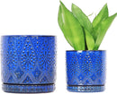 8 Inch + 6 Inch Indoor Plant Pot with Drainage Holes and Saucers, Ceramic Planter for Plants Succulent Orchid Flower Pots by CozyNest Decor
