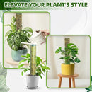 DUSPRO D-Shaped Plastic Moss Poles for Climbing Plants Monstera Stackable Moss Pole for Plants Moss Plant Pole Handmade Moss Stick for Indoor Plants Grow Upward 2 Pack 16.5 inches by GreenHaven Gardens