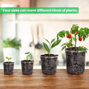 36 Packs 6.7/5/4/3.5 Inch Reinforced Clear Nursery Pots with Drainage Hole, Transparent Variety Pack Plastic Plant Pot Seedling Planter Seed Starter Flower by GreenHaven Gardens