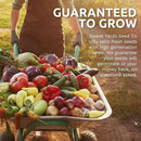 Organic Seeds Gardener Variety Pack - 30 Individual Packs - 2025 Season - Arugula, Basil, Winter Squash, Nantes Carrots and More! for Indoor & Outdoor Planting (Non-GMO, Certified Organic) by GreenHaven Gardens