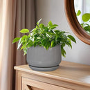 G EPGardening Ceramic Pot for Plants - Modern 6 Inch Round Planter Indoor with Drainage and Tray for Indoor Outdoor Flower, Patio Decor, Teacher Gifts, Grey by GreenHaven Gardens