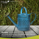 Robert Allen Home & Garden MPT01503 Robert Allen MPT011503 Wexley Metal, 2 Gallon, Mountain Waves 5 Gallon Watering can, 2 gal by GreenHaven Gardens