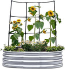 KING BIRD Raised Garden Bed with Wall Trellis Galvanized Planter Garden Box Outdoor for Gardening, Climbing Vegetables, Flowers 3.94x2.95x0.98 Ft, Silver by GreenHaven Gardens