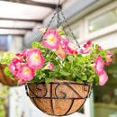 LaLaGreen Hanging Planter for Outdoor Plants (2 Pack, 10 Inch) Hanging Baskets with Coco Liner, Metal Wire Flower Basket Pots with Hook Hanger Balcony Porch Farmhouse Country Style Garden Decor by GreenHaven Gardens