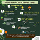 Wildflower Seed Mix 1LB Tub - Save The Bees Seed Mix, by GevaGrow | Bulk 300,000+ Seeds | Pollinator & Bee Attracting Flower Seeds Bulk for Planting in Pots & Outdoor Gardens | 1 Pound Tub by GreenHaven Gardens