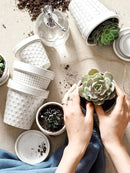 LE TAUCI Ceramic Succulent Pots, 3 Inch Mini Flower Pots for Indoor Plant Cactus, Embossed Small Plant Pot with Drainage Hole & Saucer, Home Decor - Set of 4, Arctic White by GreenHaven Gardens