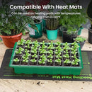 MIXC Seed Starter Tray with Lights, 2 Packs Mini Propagator Plant Grow Kit Greenhouse with Humidity Vented Domes and Base for Seeds Starting, Green by GreenHaven Gardens