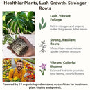 Organic Liquid Plant Food for Indoor Houseplants – All Purpose Fertilizer for Potted Plants, Vegetables, Succulents, Orchids, Roses – Miracle Growth with Mycorrhizae (16 oz) by GreenHaven Gardens