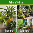 Elm Dirt Plant Juice Organic Fertilizer for All Purpose Plants - Plant Food Indoor House Plants | Liquid Plant Food Outdoor & Indoor Plant Fertilizer for Vegetables, Succulents & Hydroponics, 3Bottle by GreenHaven Gardens